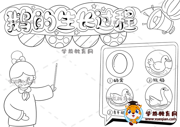 鵝的生長過程手抄報